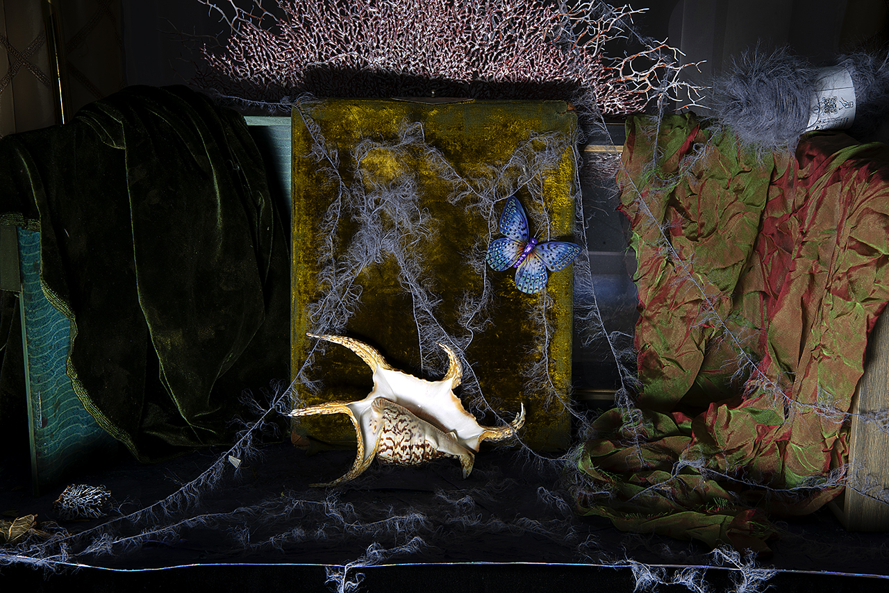  : New Work 2026 : Catherine Kirkpatrick Photography