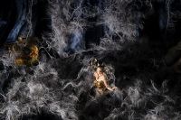 © Catherine Kirkpatrick