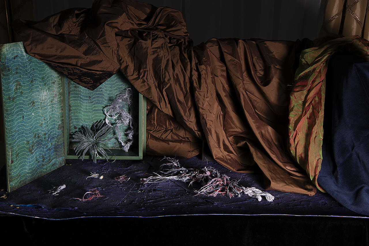  : New Work 2026 : Catherine Kirkpatrick Photography