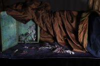 © Catherine Kirkpatrick