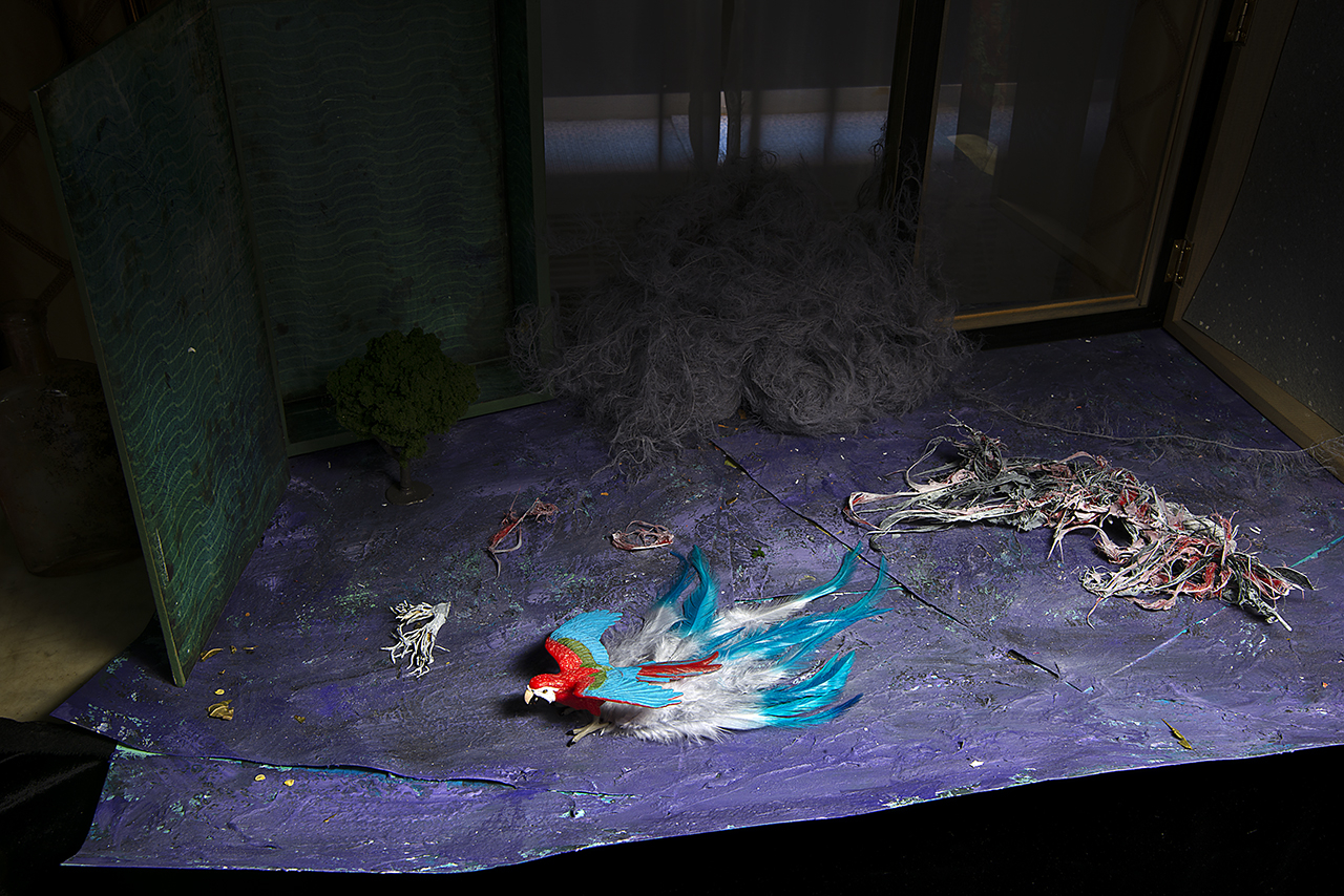  : New Work 2026 : Catherine Kirkpatrick Photography