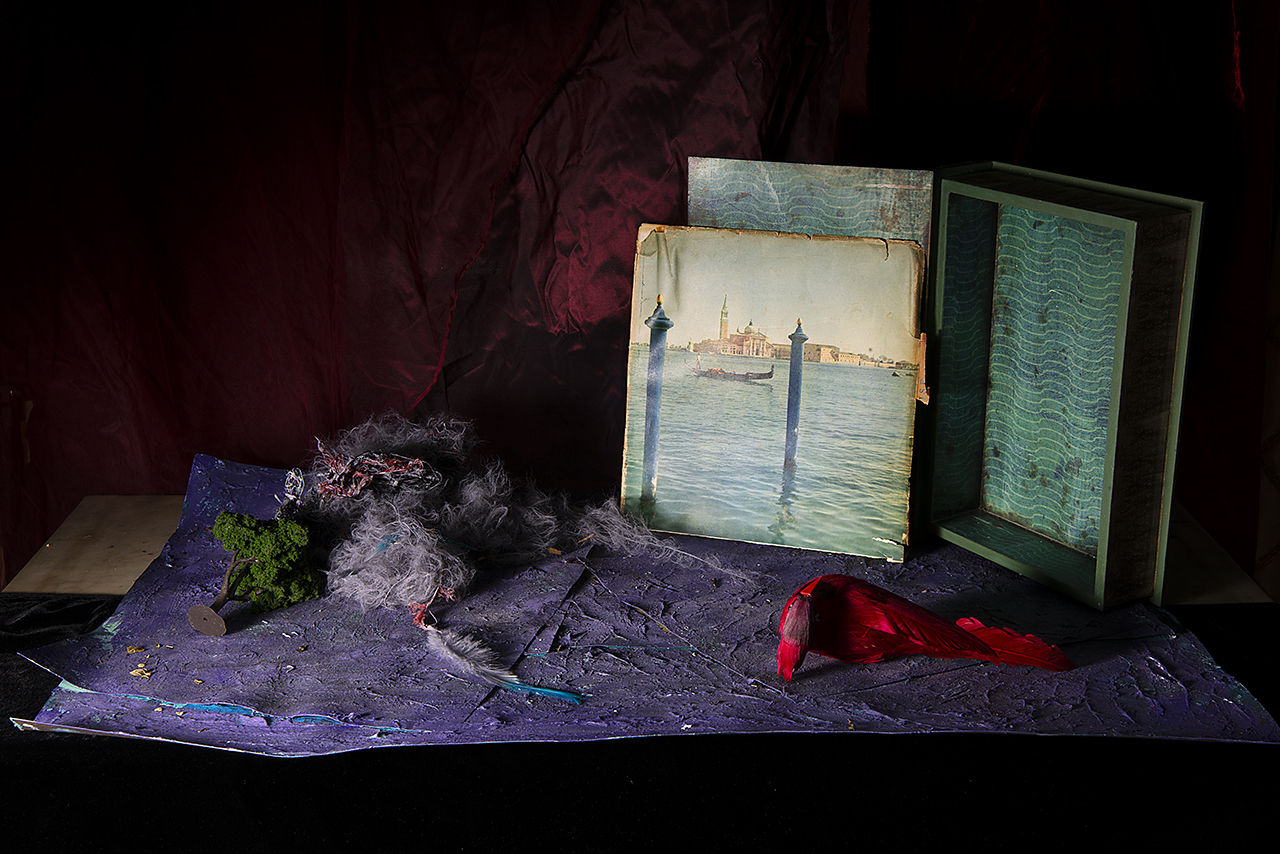  : New Work 2026 : Catherine Kirkpatrick Photography