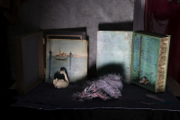 © Catherine Kirkpatrick