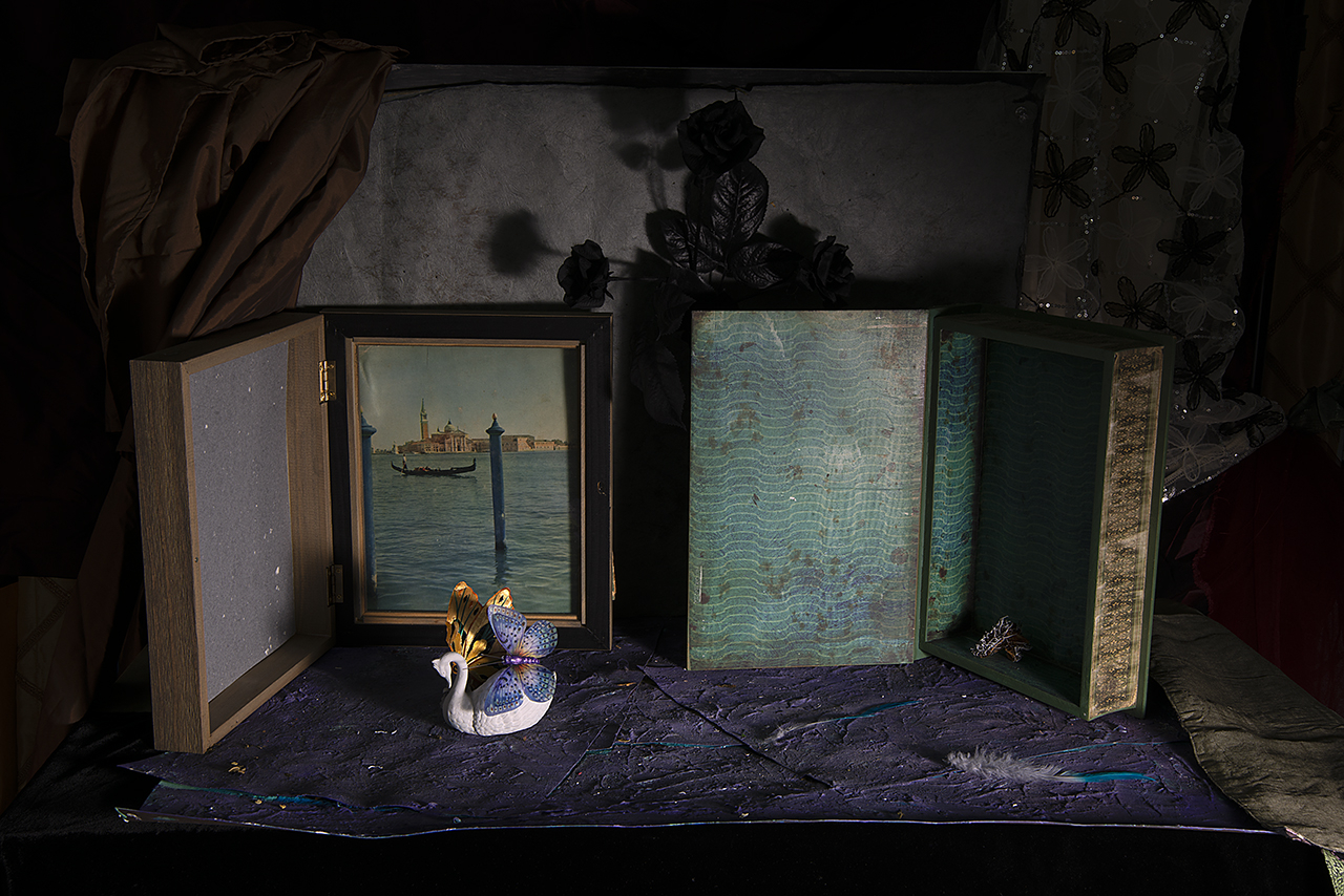  : New Work 2026 : Catherine Kirkpatrick Photography