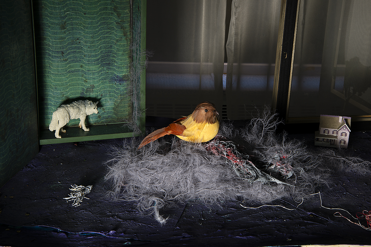  : New Work 2026 : Catherine Kirkpatrick Photography