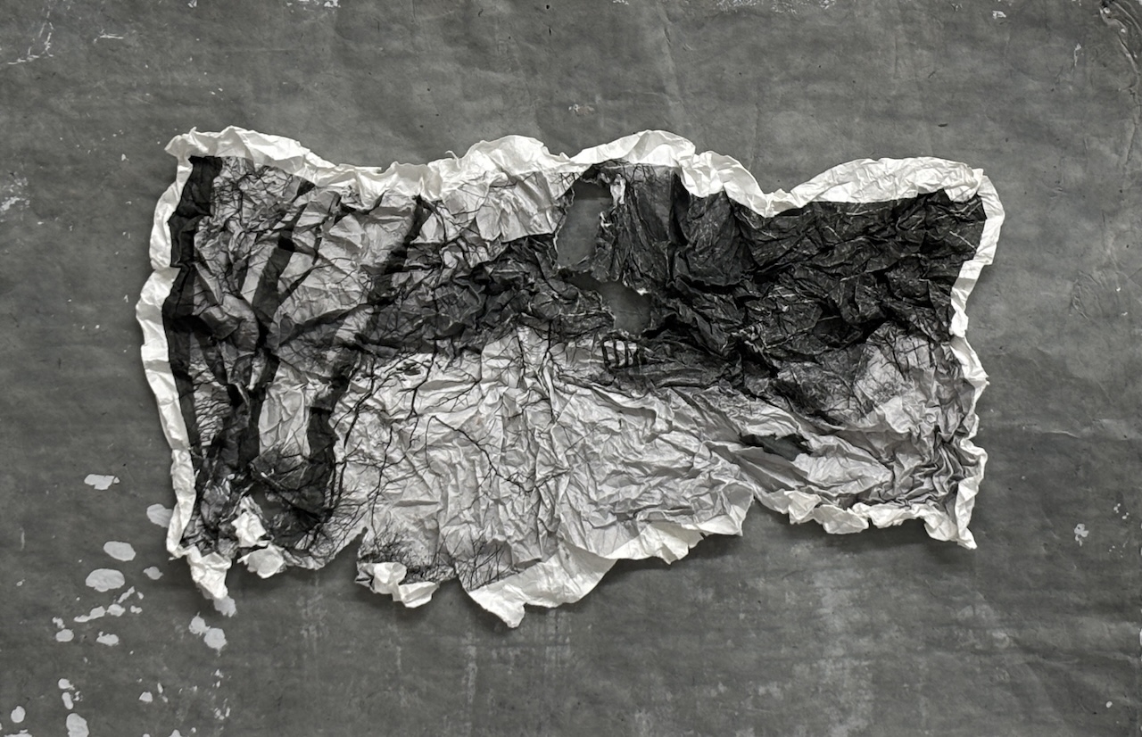  : Works on Paper : Catherine Kirkpatrick Photography