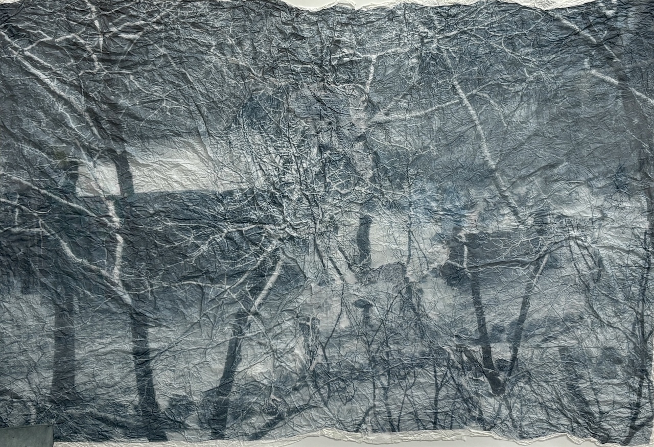  : Works on Paper : Catherine Kirkpatrick Photography