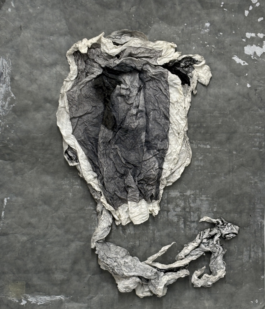  : Works on Paper : Catherine Kirkpatrick Photography