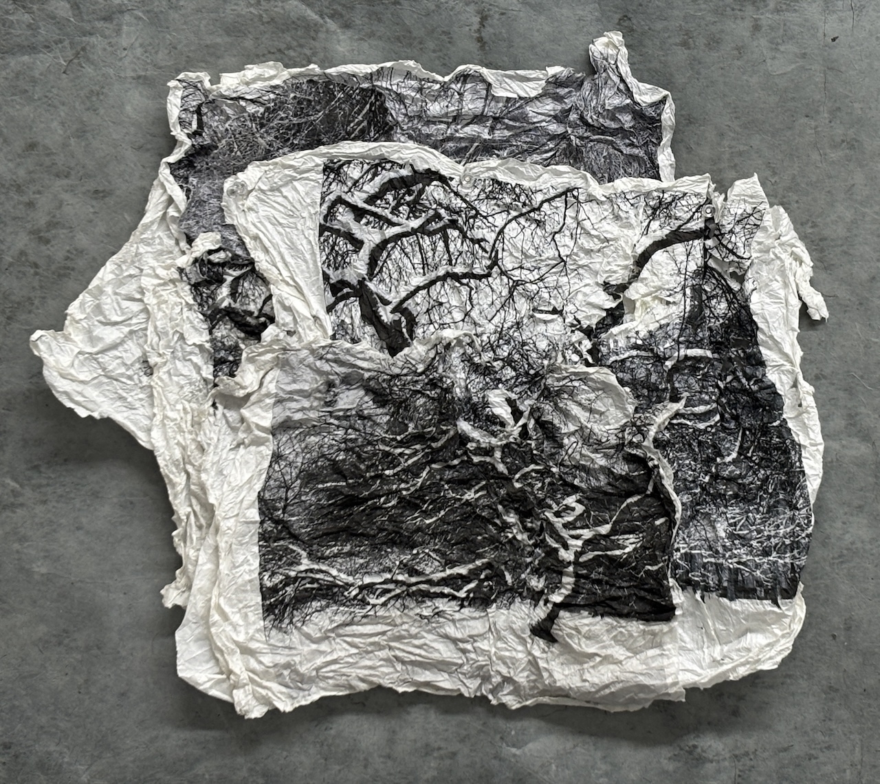  : Works on Paper : Catherine Kirkpatrick Photography