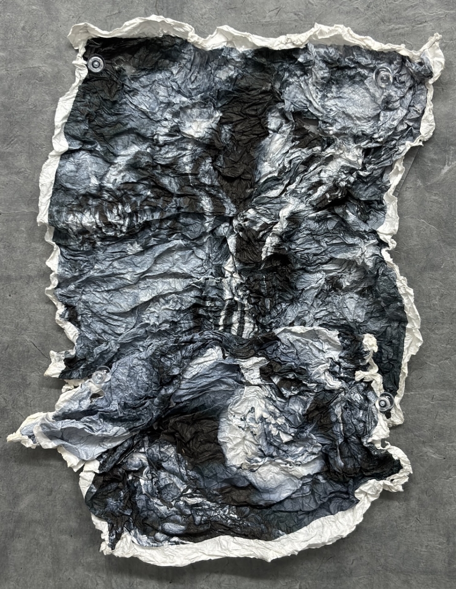  : Works on Paper : Catherine Kirkpatrick Photography