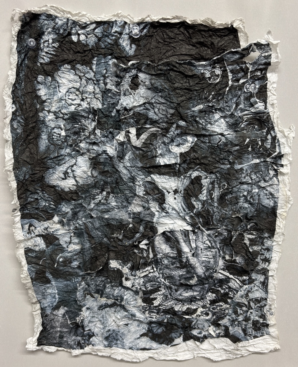  : Works on Paper : Catherine Kirkpatrick Photography