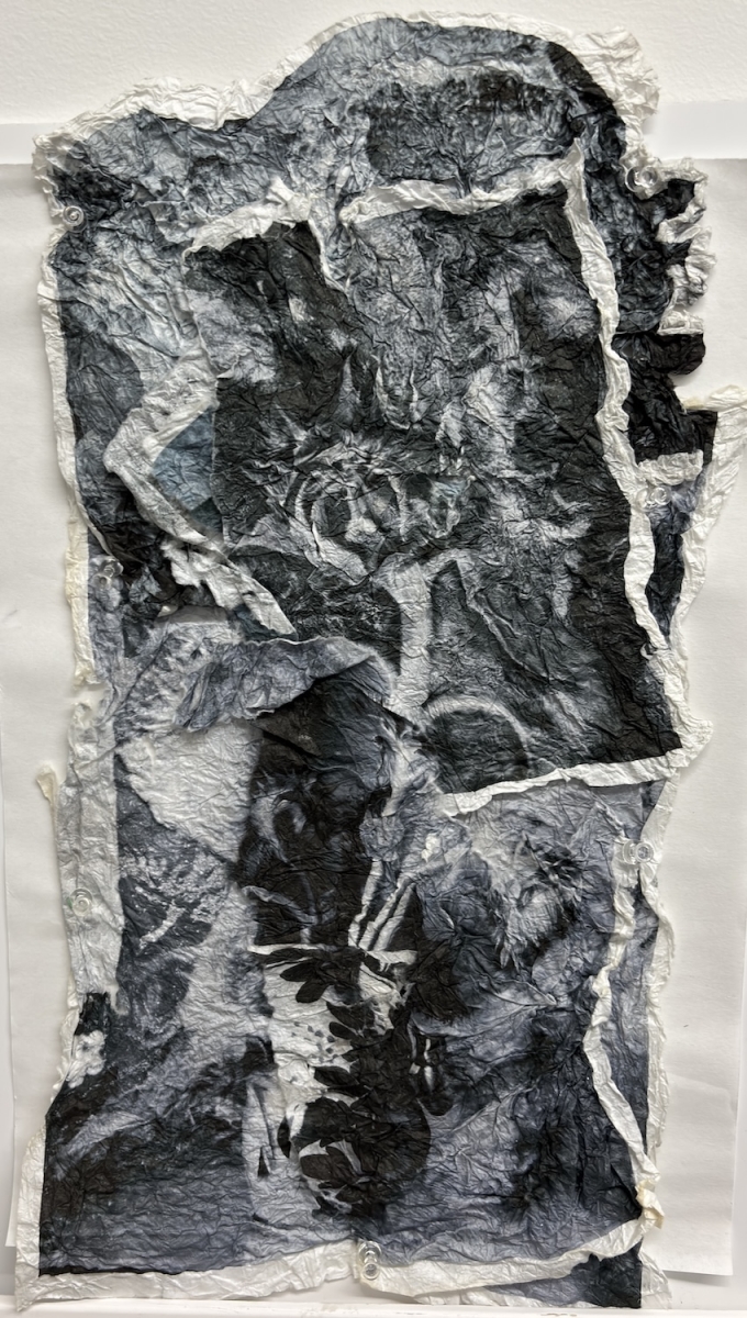  : Works on Paper : Catherine Kirkpatrick Photography