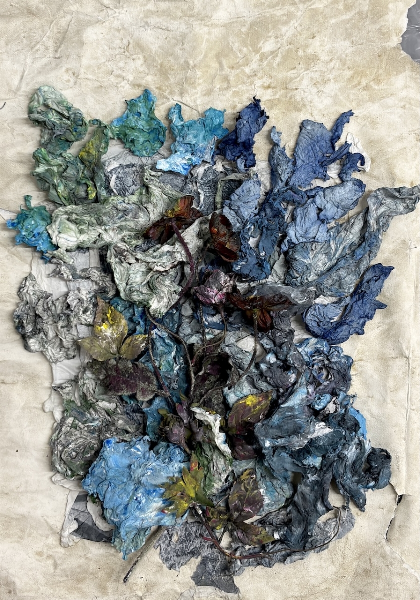  : Works on Paper : Catherine Kirkpatrick Photography