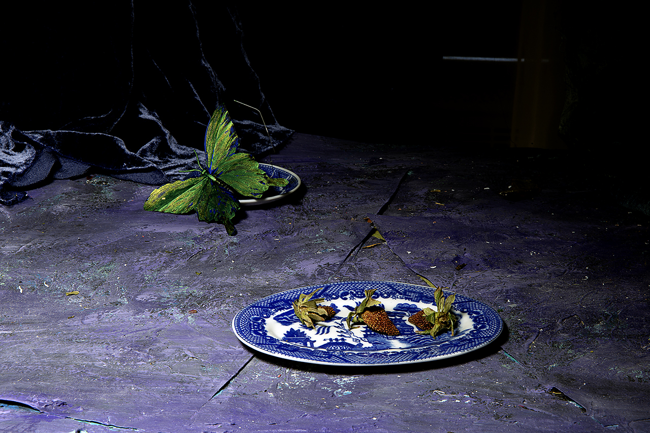  : New Work 2026 : Catherine Kirkpatrick Photography