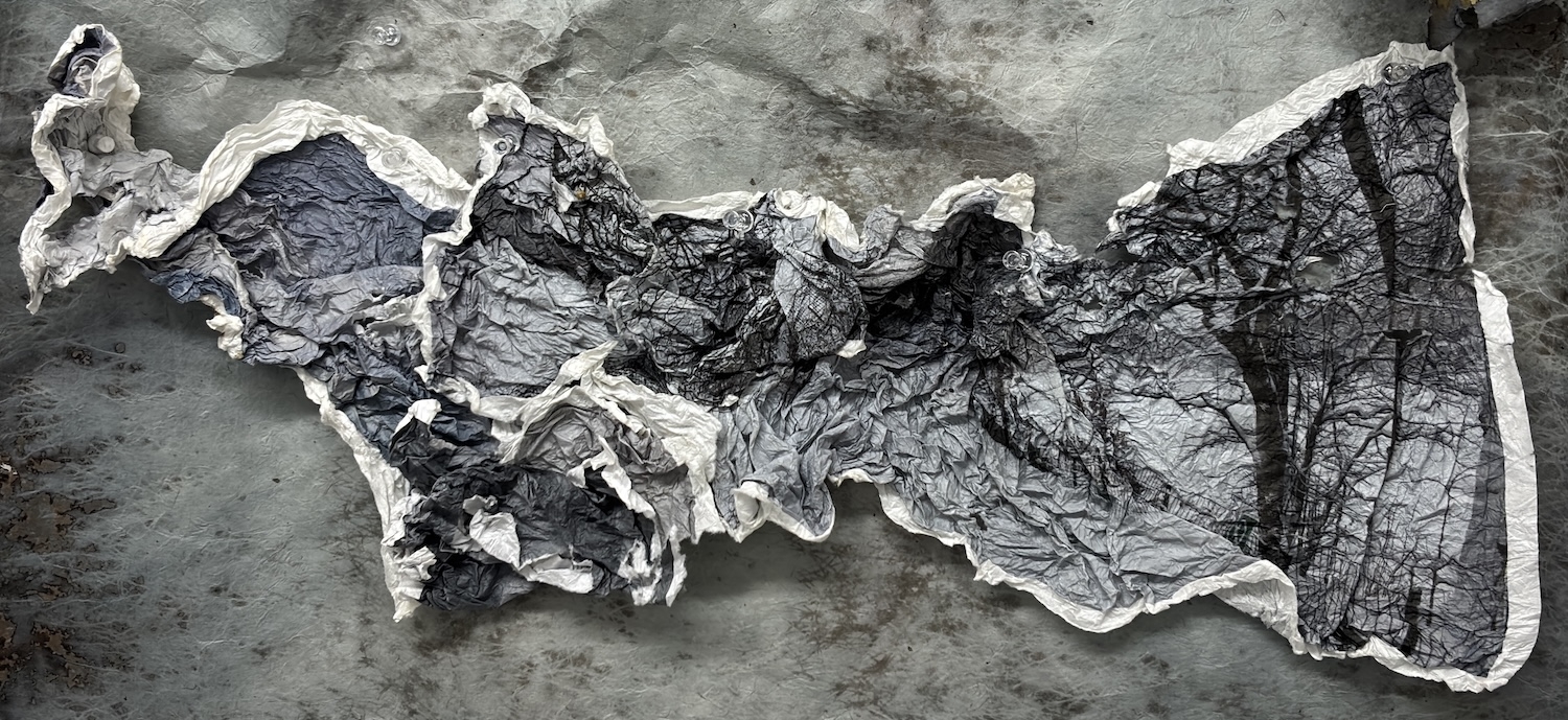  : Works on Paper : Catherine Kirkpatrick Photography