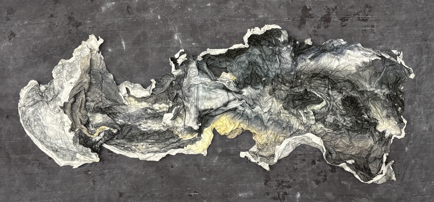  : Works on Paper : Catherine Kirkpatrick Photography