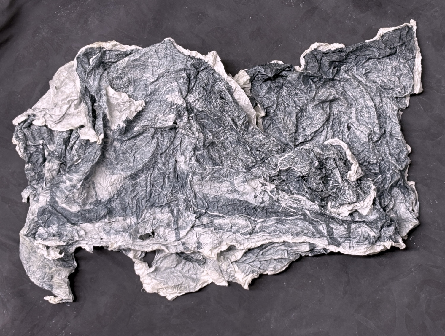  : Works on Paper : Catherine Kirkpatrick Photography