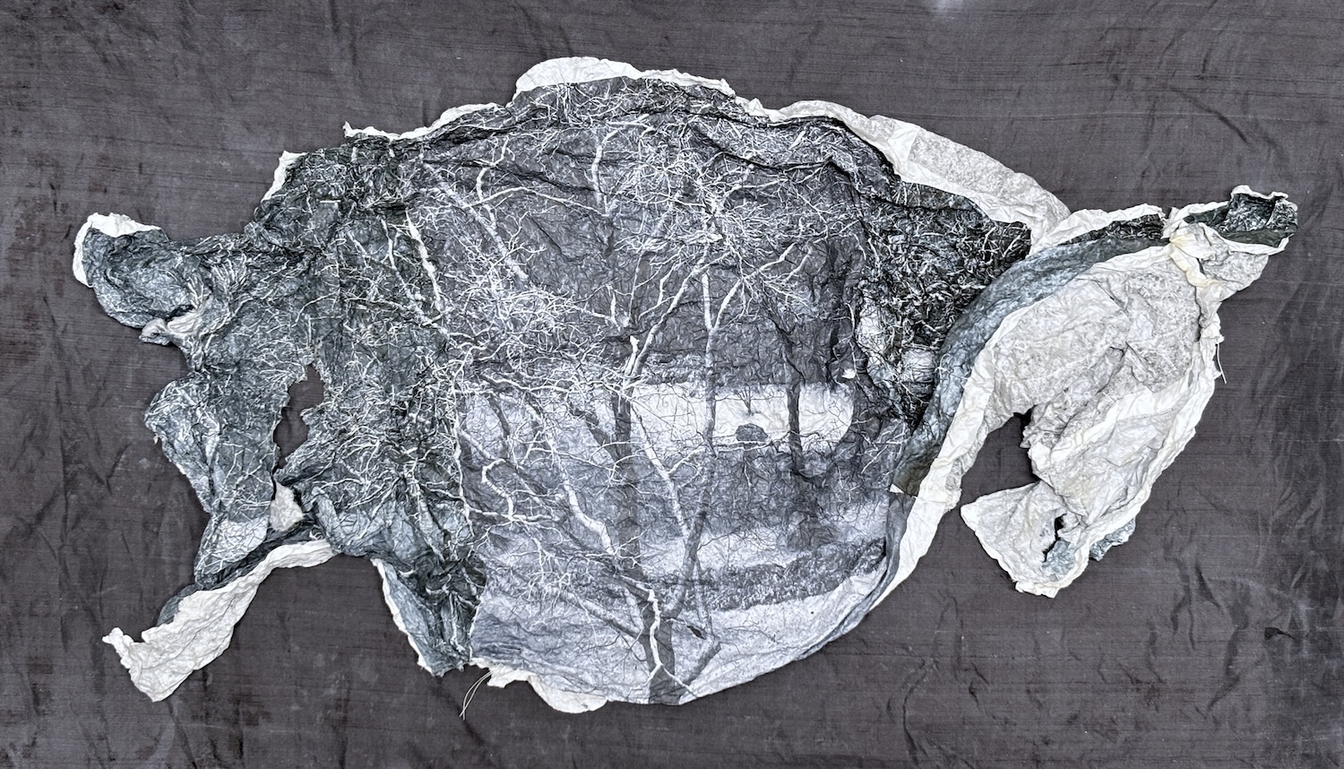  : Works on Paper : Catherine Kirkpatrick Photography