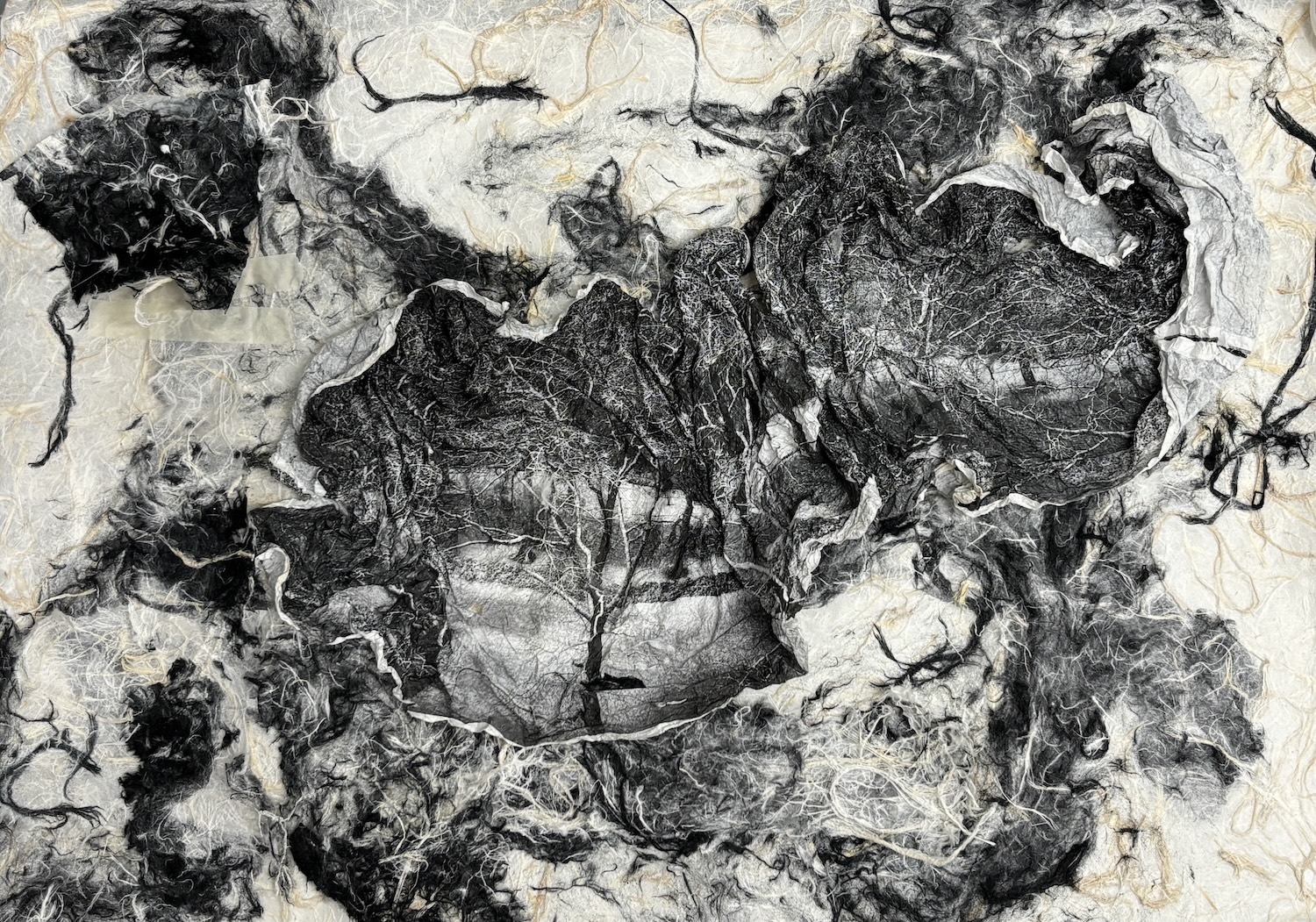  : Works on Paper : Catherine Kirkpatrick Photography