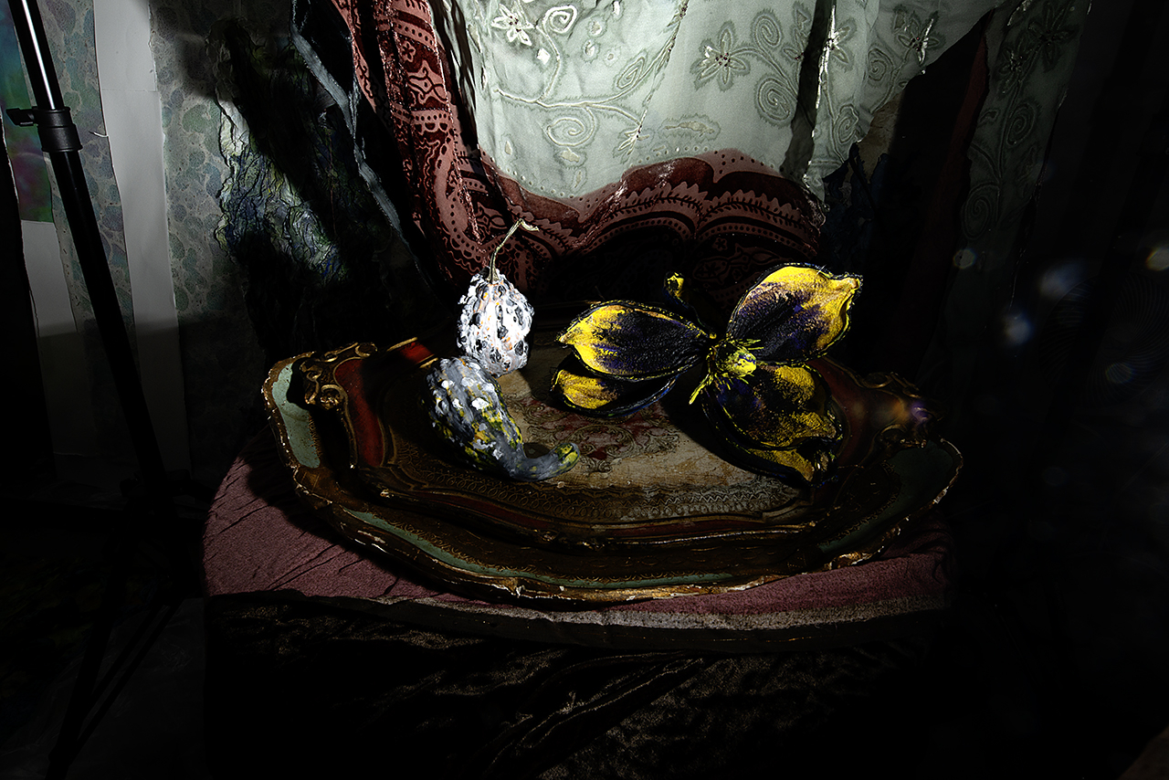  : Studio 220 : Catherine Kirkpatrick Photography