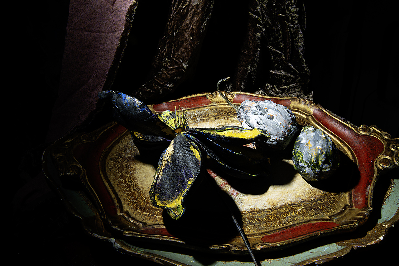  : Studio 220 : Catherine Kirkpatrick Photography