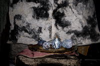 © Catherine Kirkpatrick