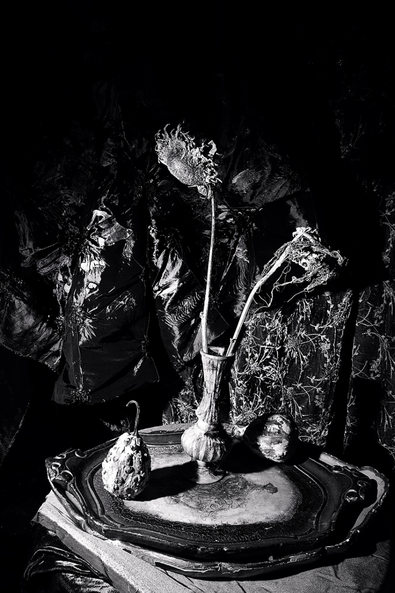  : Dark Studio : Catherine Kirkpatrick Photography