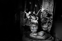 © Catherine Kirkpatrick