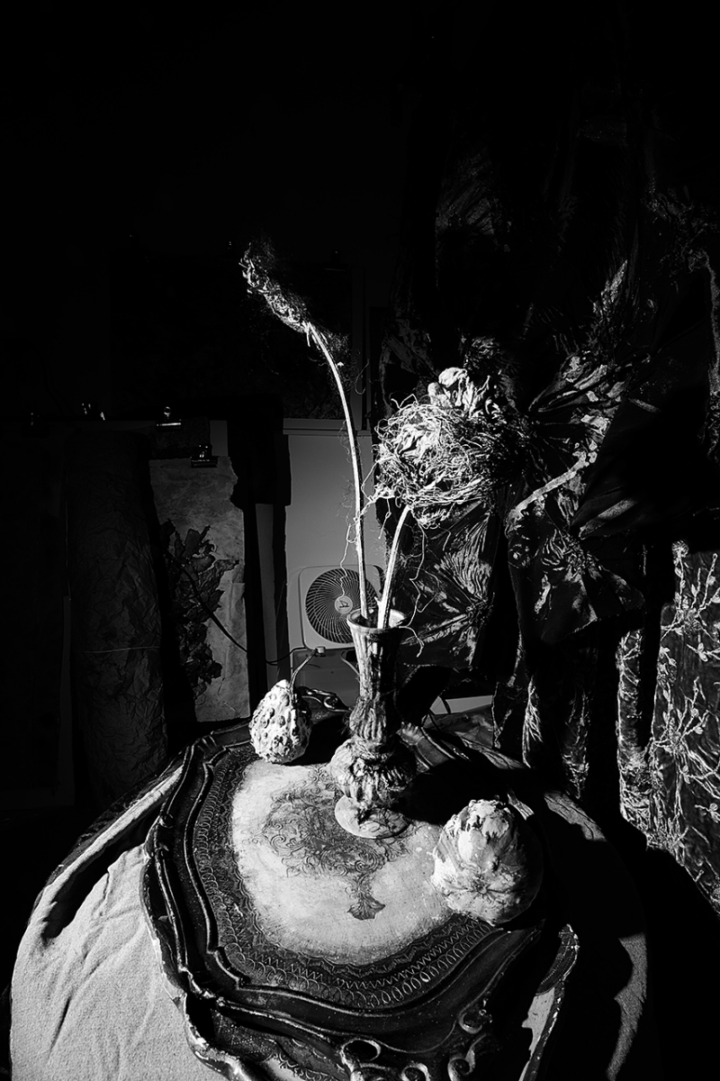  : Dark Studio : Catherine Kirkpatrick Photography