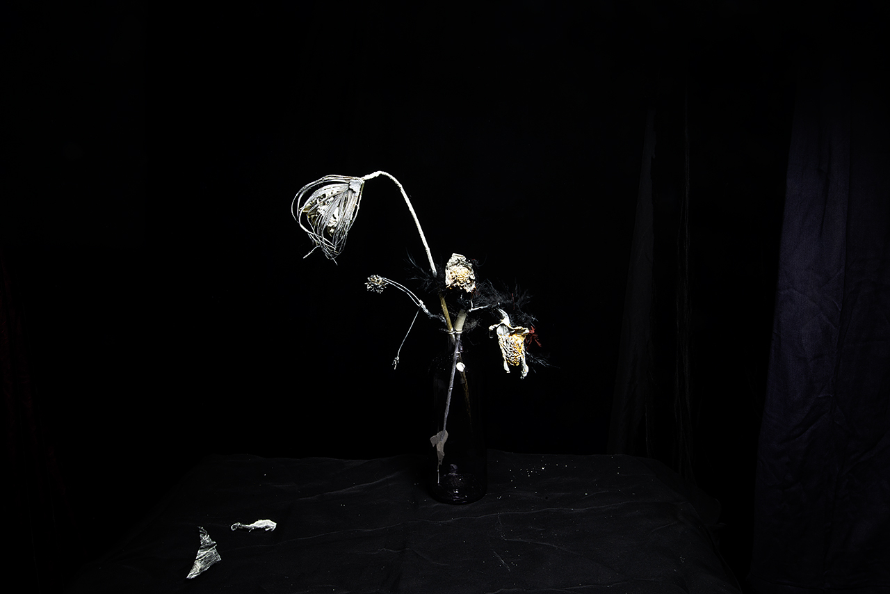  : Dark Studio : Catherine Kirkpatrick Photography