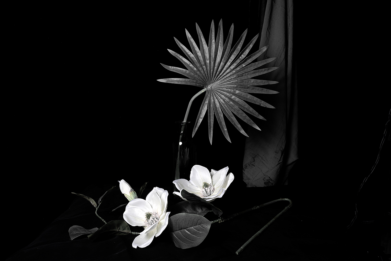  : Dark Studio : Catherine Kirkpatrick Photography