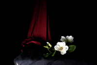 © Catherine Kirkpatrick