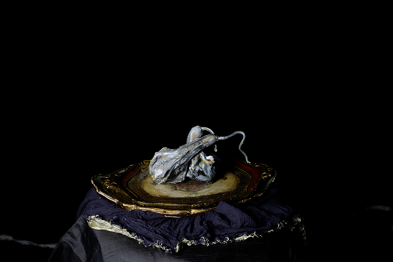  : Dark Studio : Catherine Kirkpatrick Photography