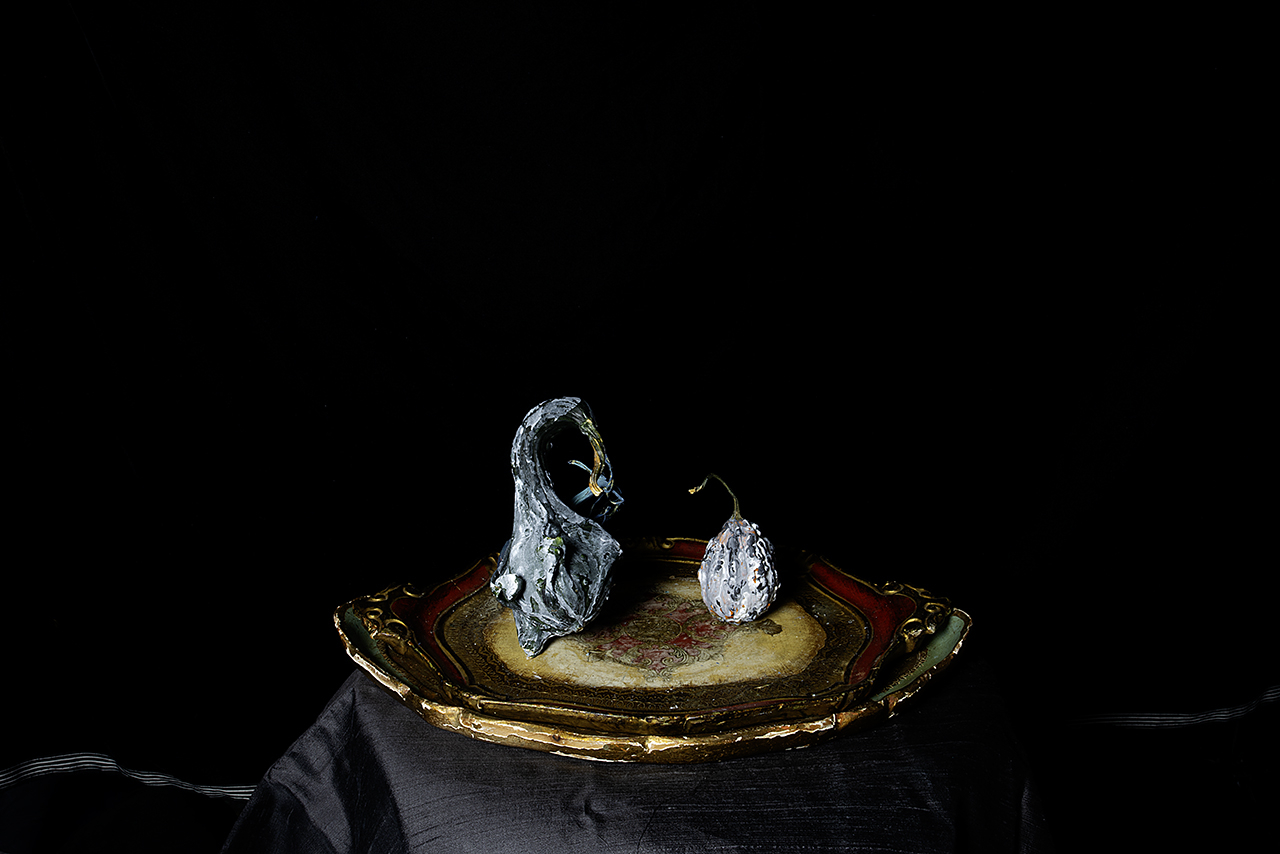  : Dark Studio : Catherine Kirkpatrick Photography