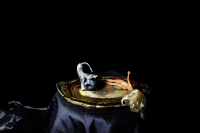 © Catherine Kirkpatrick