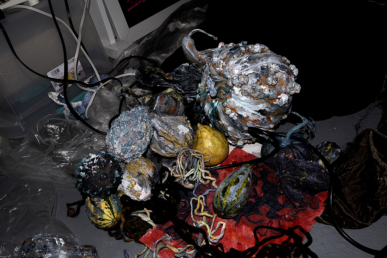  : Dark Studio : Catherine Kirkpatrick Photography